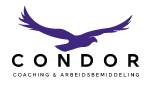 Condor Coaching Logo