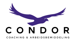 Condor Coaching Logo